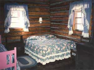 Inside the Log Cabin