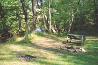 Fire ring at a camp site