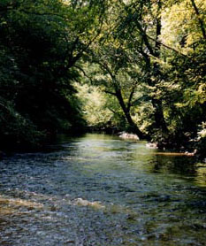 Nottely River