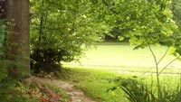 View of the field from a shady spot