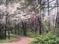 Entering the campground